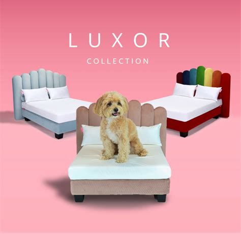 Hooman dog bed - Dog Beds made with hotel quality bedding, memory foam mattresses and 100% human grade materials. Finally, your dog can sleep like you. ... Miki thinks he’s human so no dog bed has ever been good enough for him… saw the ad for these Hooman beds on Instagram and couldn’t stop laughing first -- common it’s a mini …